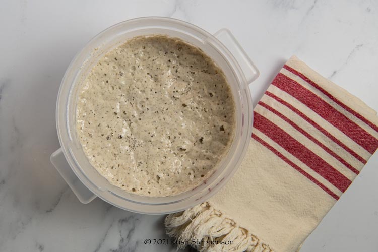 bubbly sourdough starter