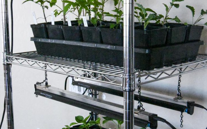 grow station