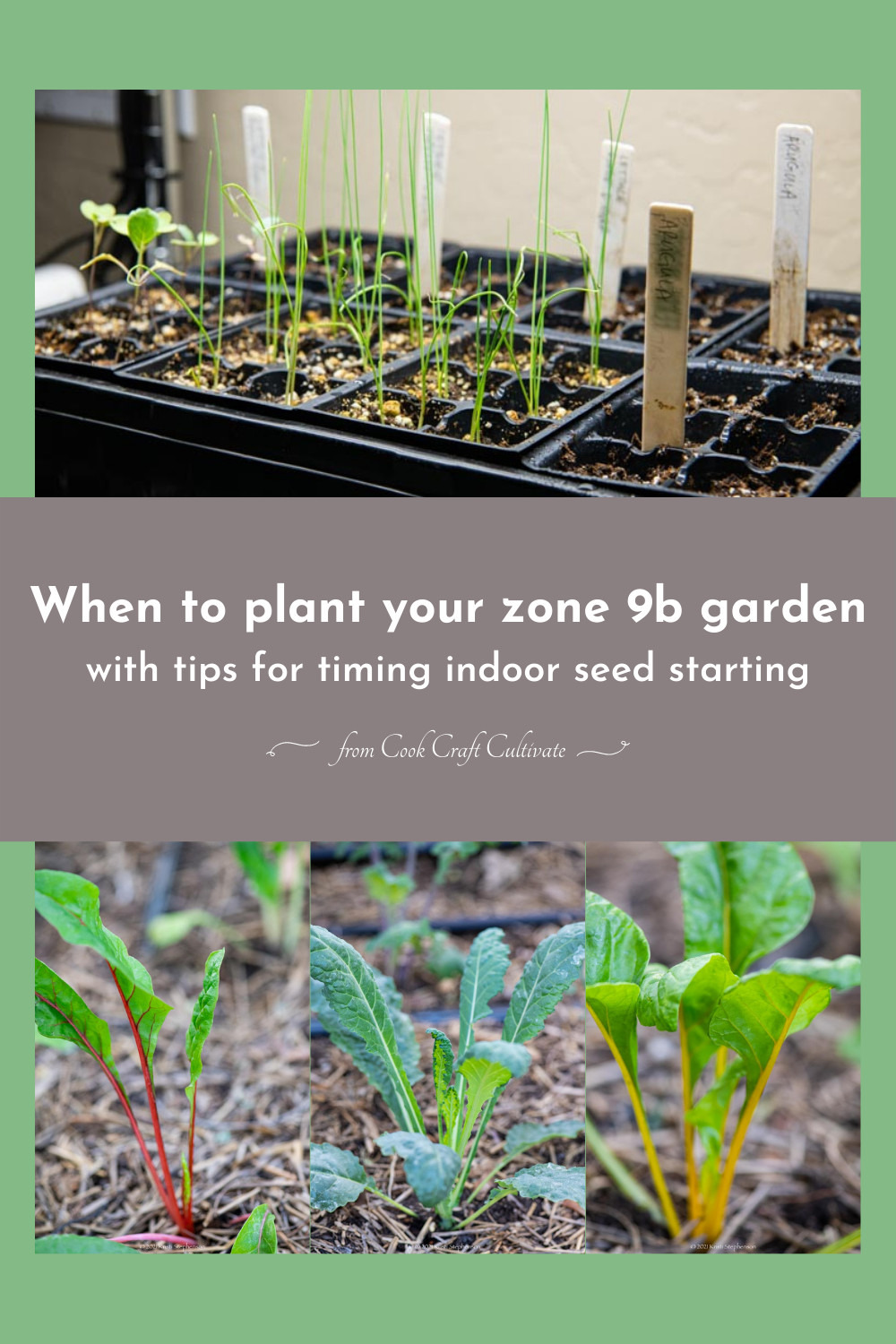 Garden Timeline When To Plant In Zone 9b Cook Craft Cultivate